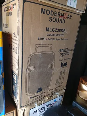 Modernday Sound System P a 12 Inches Model Mlg231kb