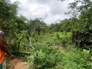 Land Property