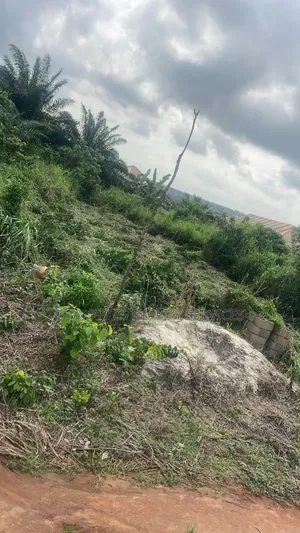 Half Plot at Isiwu Ikorodu