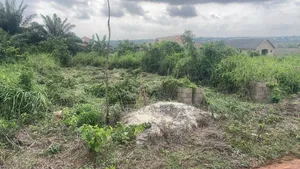 Half Plot at Isiwu Ikorodu