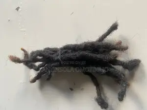 Micro Locs/Wicks/Traditional Locs