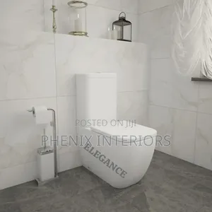 Modern Quality Foreign Water Closet