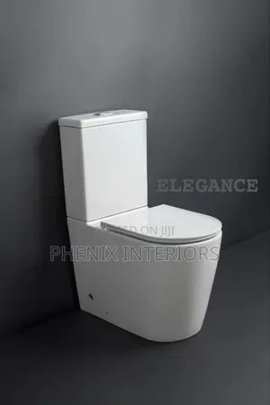 Modern Quality Foreign Water Closet