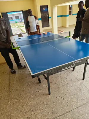 Joola Aluminum Tennis Board With Accessories, Egg, Net and Bats