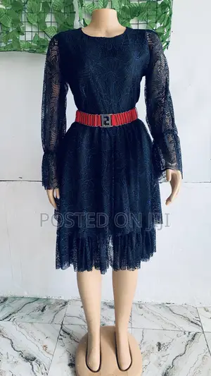 Lace Net Corporate Gown