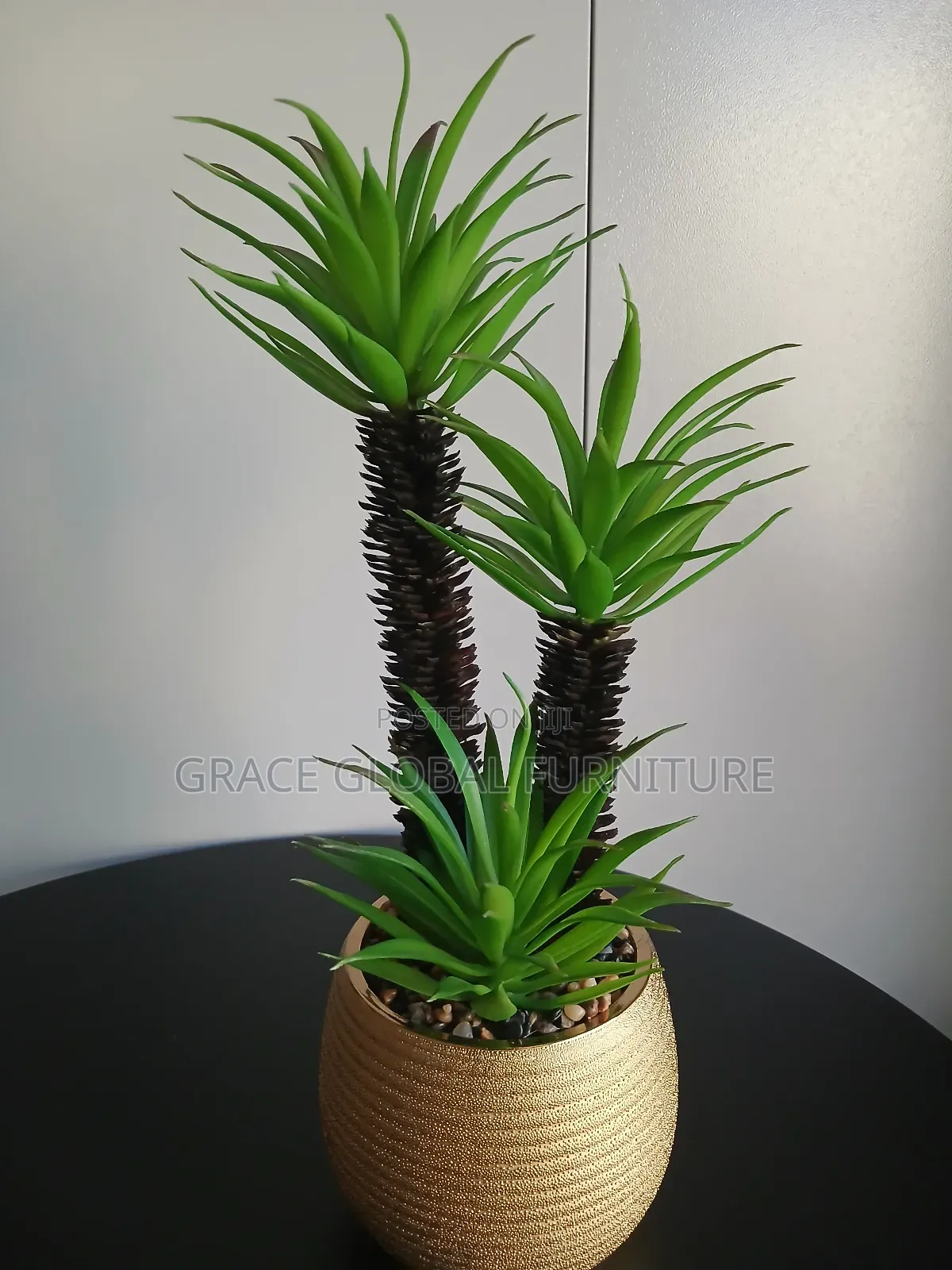 Decorative Vase And Tree
