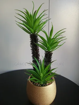 Decorative Vase And Tree