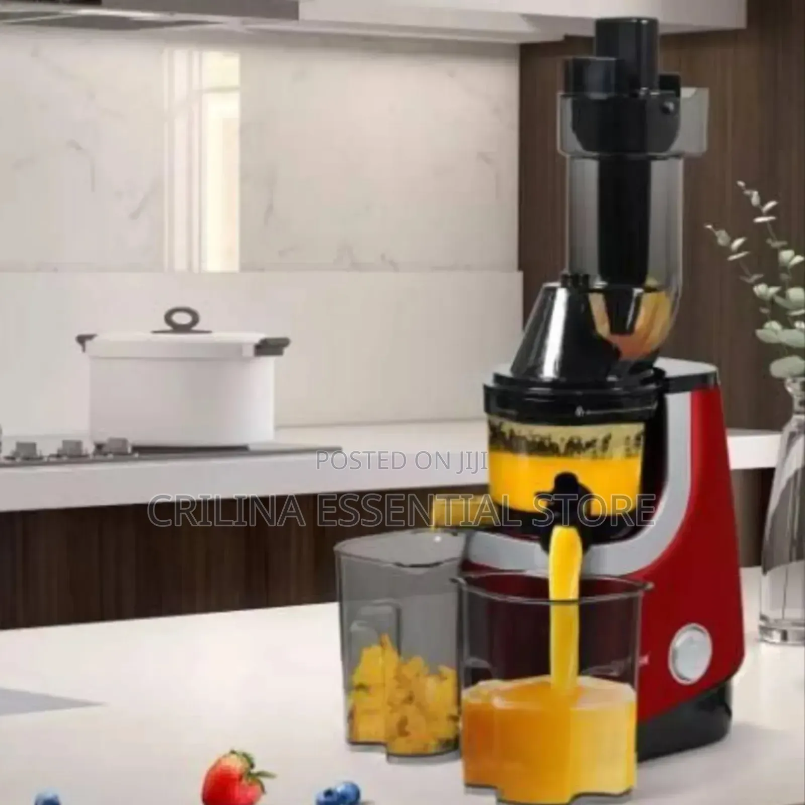 Avinas Low Speed Juice Extractor Slow Juicer(1000w)