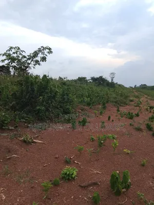 Farm Land and Plots for Sale