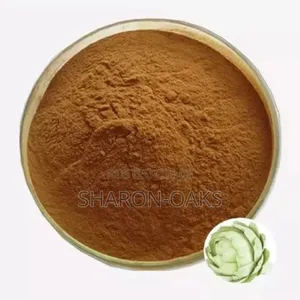 Artichoke Powder 100g