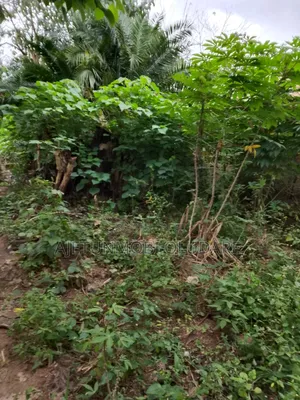 2 Confirmed Plots of Land for Sale