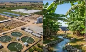 Affordable Lands for Integrated Farm or Investment in Ghana, Uganda,