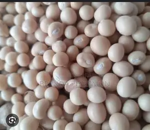 Okpa Caro White