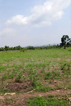 23 Hectares Of Farmland For Sale In Kuje Abuja