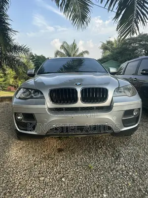 BMW X6 xDrive50i 4x4 Coupe (4.4L 8cyl 8A) 2012 Silver