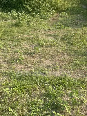 A Bit Swampy Half Plot of Land for Sale in Immaculate Estate Phase 1