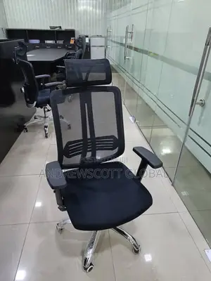 Brand New Imported Executive Office Chairs