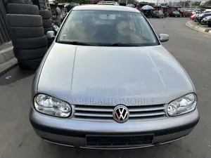 Volkswagen Golf GL 1.9 TDI Sedan 2004 Gray