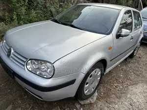 Volkswagen Golf GL 1.9 TDI Sedan 2004 Silver