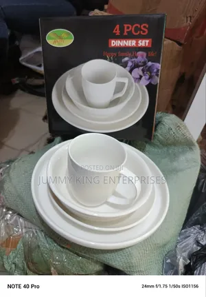 Lovely Quality Dinner Set (4 Pieces)