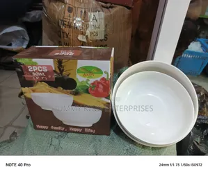 Dinner Set Quality Stoneware__
2pcs