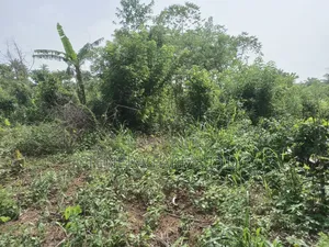 10 Acres of Farmland Available for Sale at Fada Area, Akanran, Ibadan