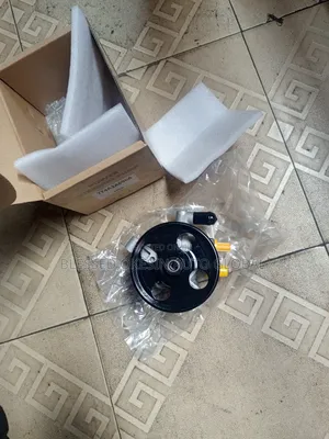 Power Steering Pump Ford Edge 2008