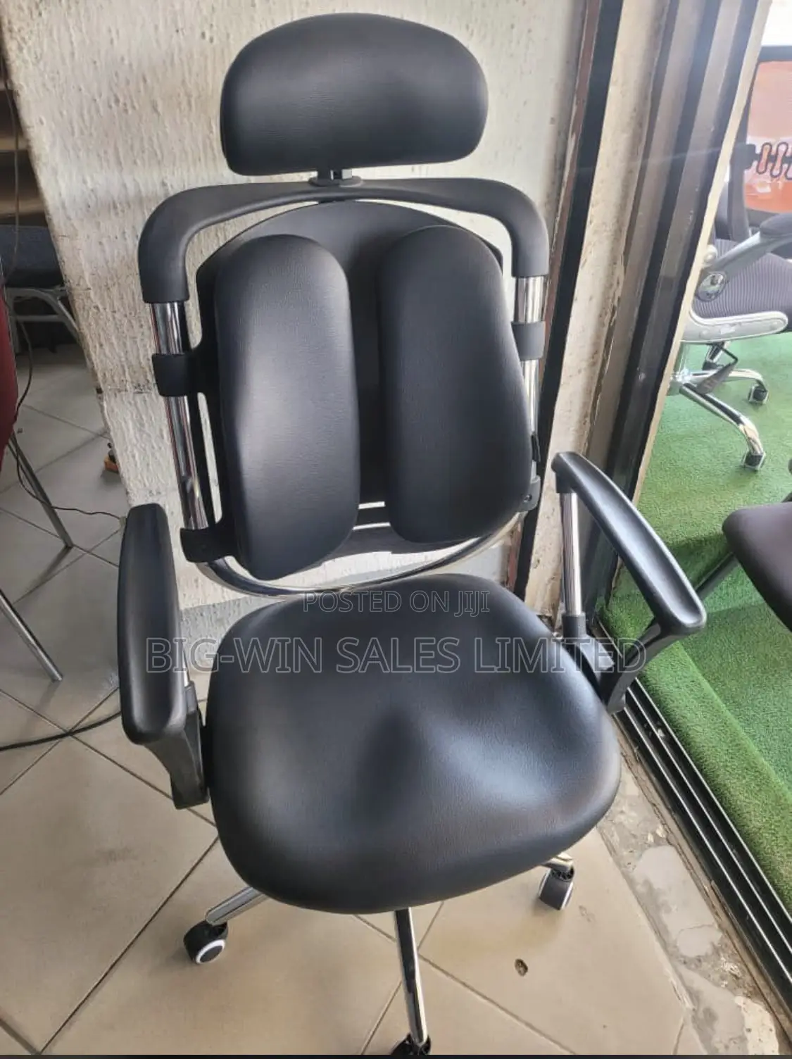 Kidney Ergonomic Chair With Back Support