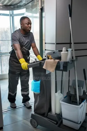 Best Cleaning Services