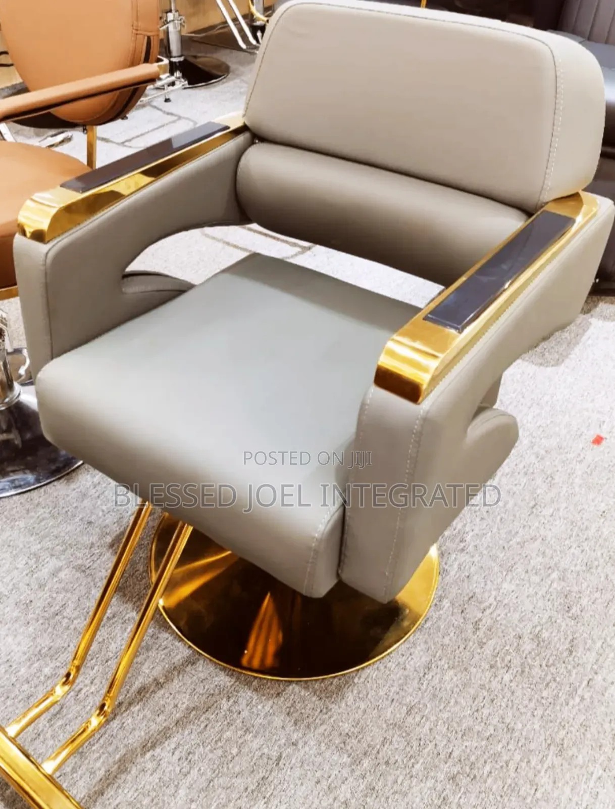Quality Saloon Chair