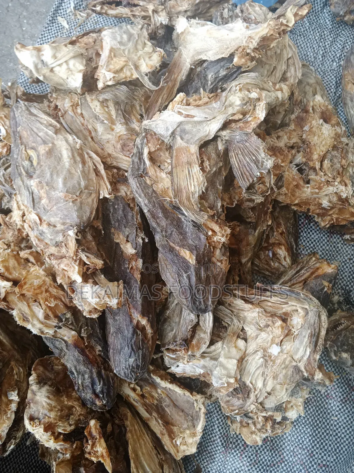 Stockfish Head