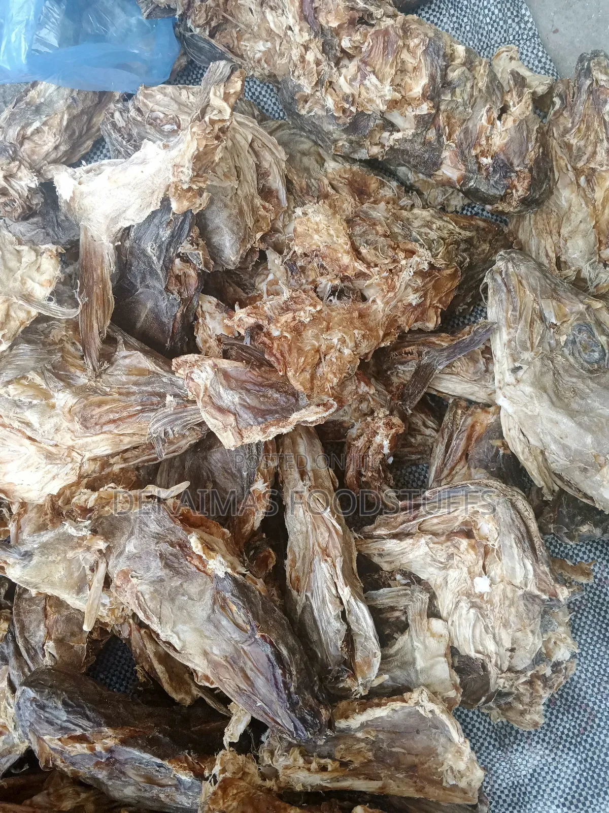 Stockfish Head