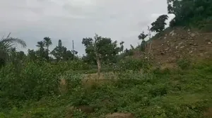 For Sale: 6hectares With Cofo Title Document. Purpose: Mixed Used