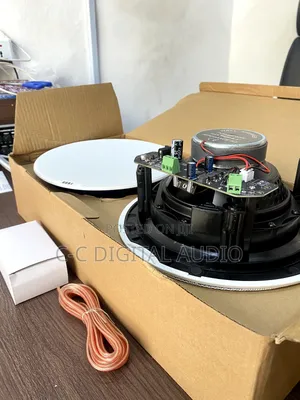 Dart 2 in 1 Bluetooth Ceiling Speaker