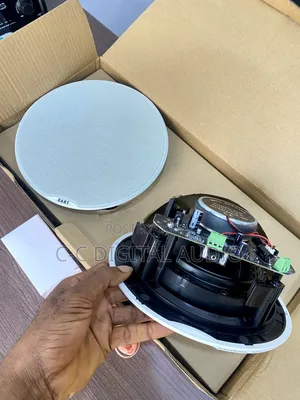 Dart 40watt 2 in 1 Bluetooth Ceiling Speaker