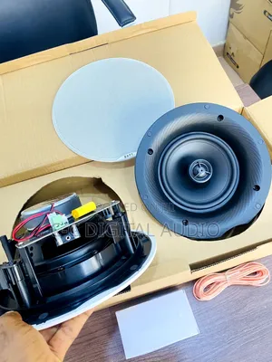 Dart Two in One Bluetooth Ceiling Speaker