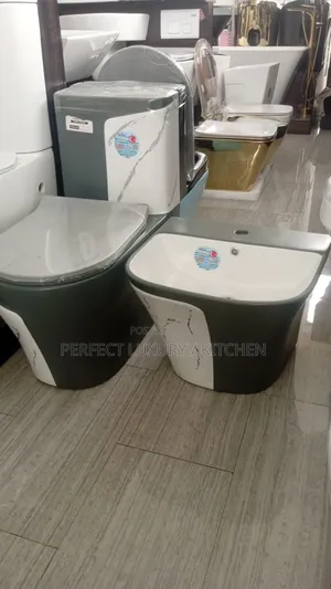 Black and White With Design Luxury Smart Lavida W C Water Closet 