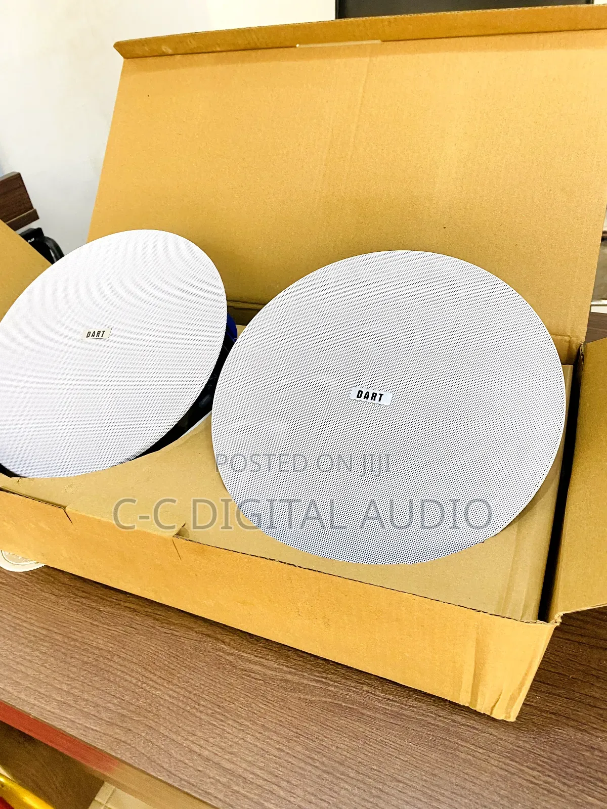 Dart Power 2in1 Bluetooth Ceiling Speaker