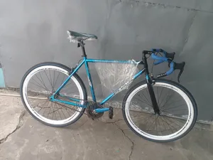 Thruster Adult Sport Bicycle