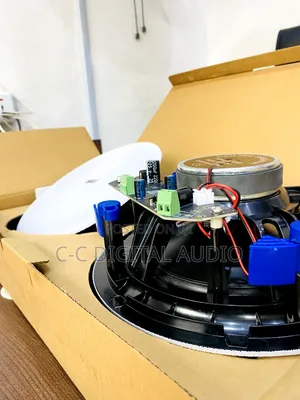 2 in 1 Drat Ceiling Speaker