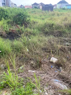 1 Plot of Land