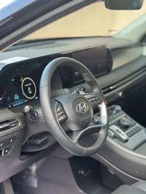 Hyundai Palisade 2024 Black