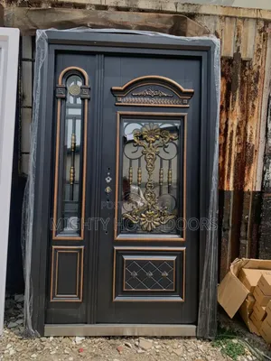 French Glass Steel Door.