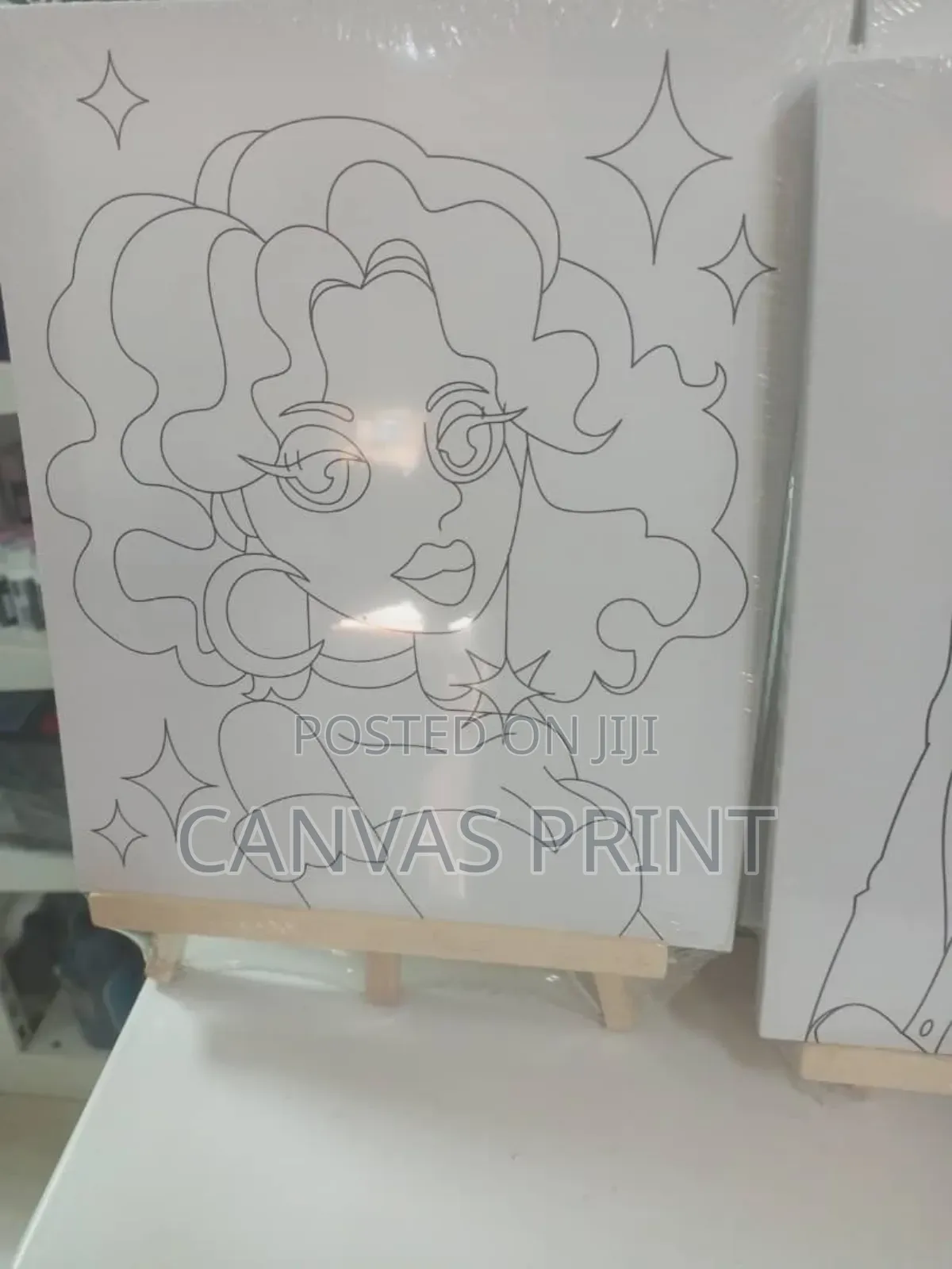 Pre Drawn Canvas Set