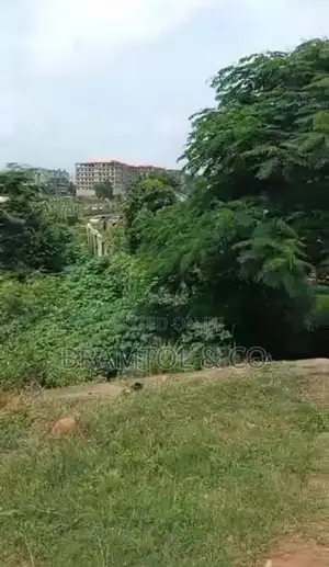 2300sqm Residential Cofo Plot In Asokoro Main