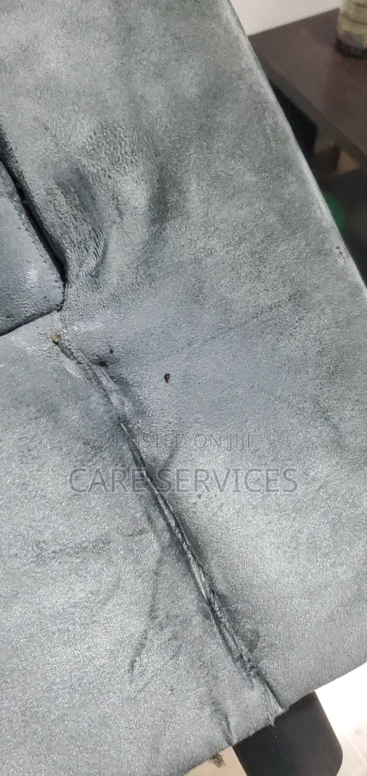 Bedbugs Elimination