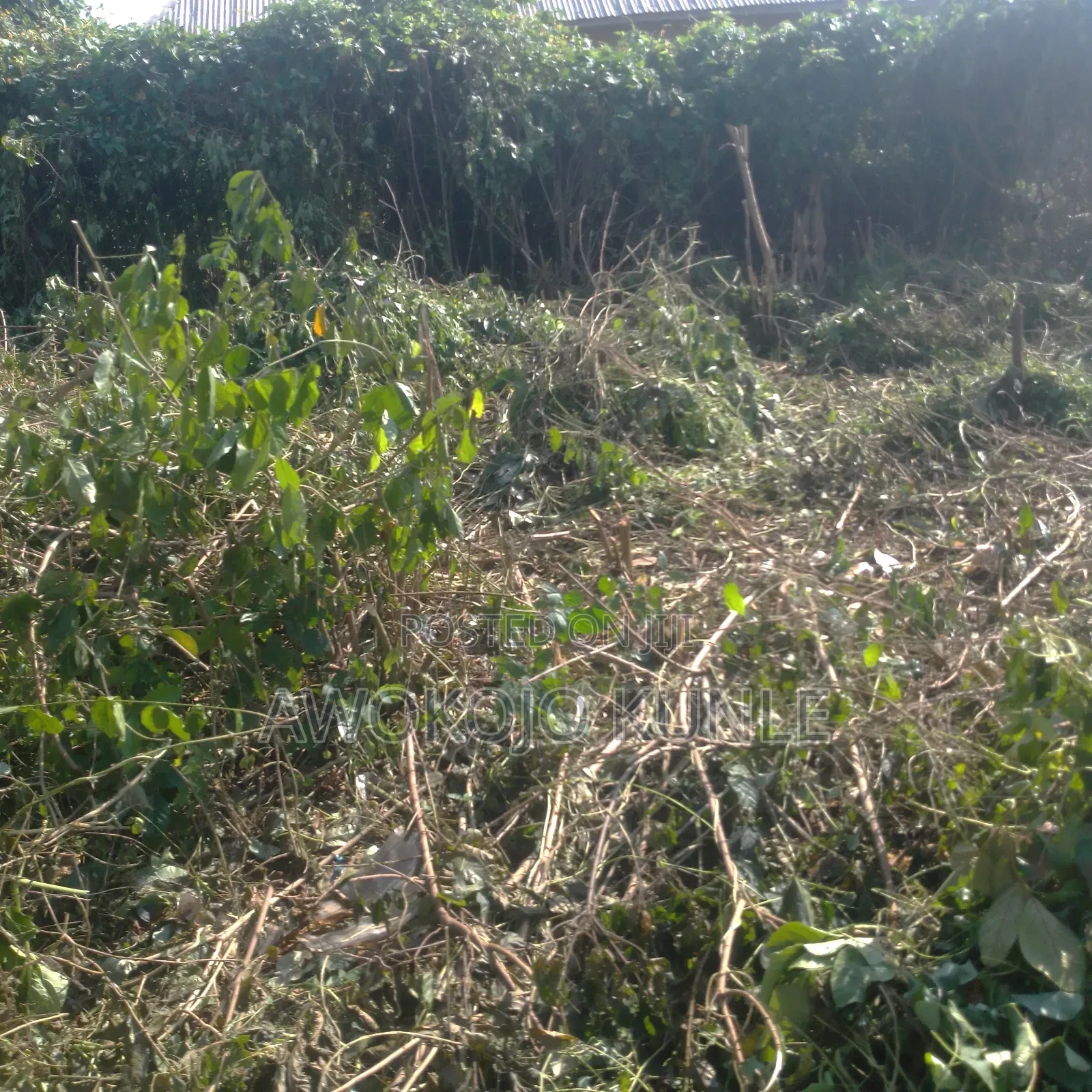 Plot of Land