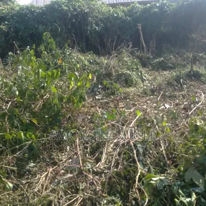 Plot of Land