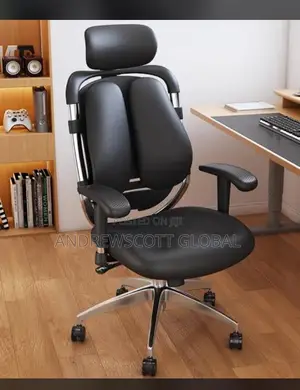 Brand New Imported Massaging Kidney Chair