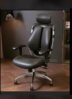 Brand New Imported Massaging Kidney Chair